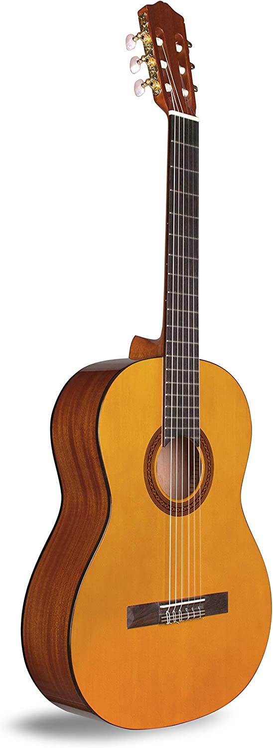 Córdoba C1 — загальний вигляд