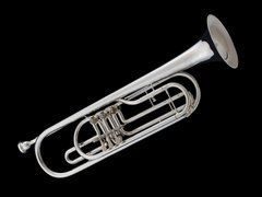 Bb Bass Trumpet (rotary valve) Wessex BT2, silver plated BT2-S photo