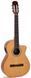 Admira Juanita-EC Nylon-string acoustic-electric guitar 19003 photo 1