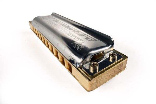 Губна гармошка Hohner Marine Band Thunderbird M201175P Low Low F-major 128990 фото