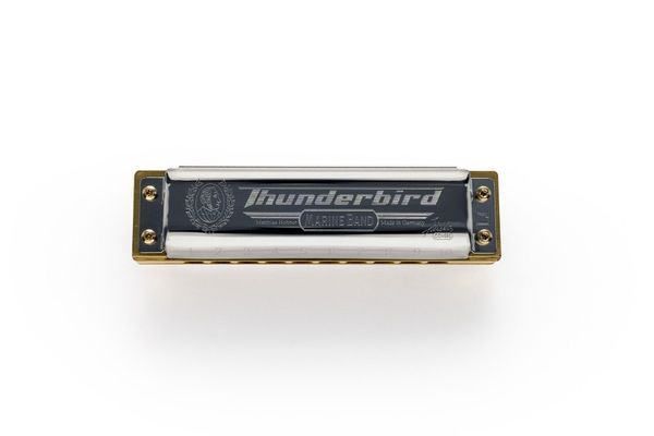 Губна гармошка Hohner Marine Band Thunderbird M201175P Low Low F-major 128990 фото