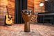 Джембе Meinl Jumbo JD12BW (12") Barnwood 128653 фото 7