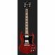 Електрогітара GIBSON SG Standard HC 462538 фото 2