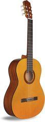 Електрогітара CORDOBA C1 (with Gig Bag) (with Gig Bag) 40591 фото
