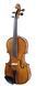 Скрипка STENTOR 1500/E STUDENT II VIOLIN OUTFIT 1/2 32019 фото 2