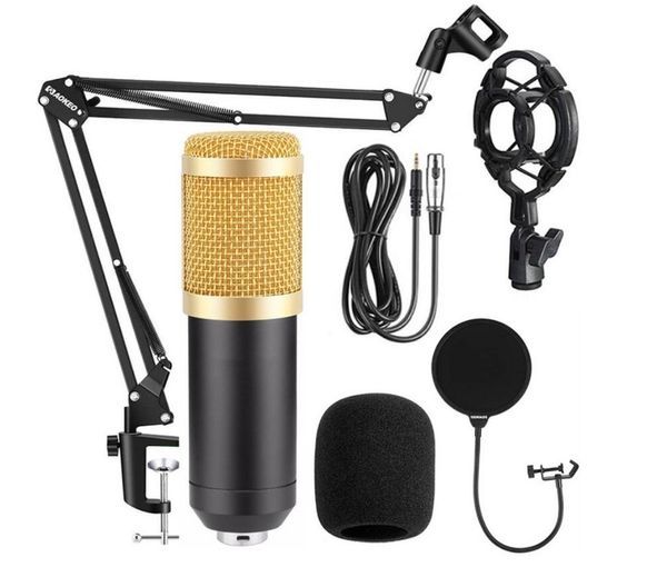 HL AUDIO BM-800 39926 фото