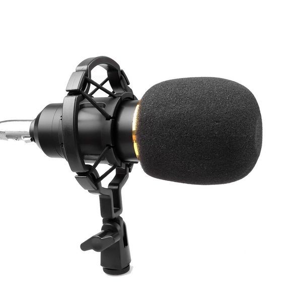 HL AUDIO BM-800 39926 фото