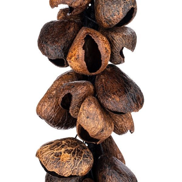 Звуковий ефект Meinl WA5 Pangi Waterfall Shaker 40 Seeds