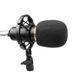 HL AUDIO BM-800 39926 фото 2