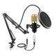 HL AUDIO BM-800 39926 фото 3