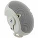 Настенная акустическая система EV Evid 4.2 White 108458 фото 4
