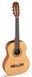 ADMIRA Alba 3/4 Electric Guitar 27751 photo 1
