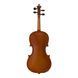 Скрипка Strunal Stradivarius 16w 4/4 Strunal-16w 4/4 фото 2