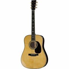 Acoustic / Western Guitars Dreadnought Acoustic Guitars photo