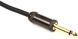 D'ADDARIO PW-AG-20 Curcuit Breaker Momentary Mute (6m) 22351 фото 2