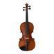 Скрипка Strunal Stradivarius 160 4/4 Strunal-160 4/4 фото 1