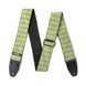 Гітарний ремінь DUNLOP D6710 JACQUARD HEXAGON ECHO &mdash; оливковий 38273 фото 2