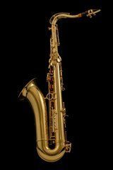Тенор-саксофон Wessex SAX100 SAX100 фото