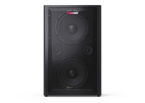 Портативная акустическая система Sharp CP-LS200 SumoBox Pro