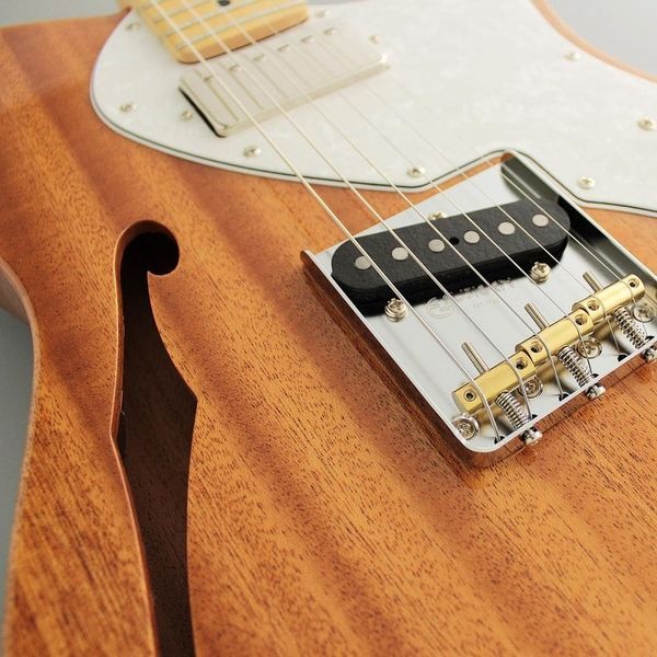 Электрогитара FGN NTE110MMHT-NT Neo Classic (Natural) 41500 фото