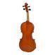 Скрипка Strunal Stradivarius 29wA Strunal-29wA 4/4 фото 2