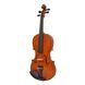 Скрипка Strunal Stradivarius 29wA Strunal-29wA 4/4 фото 1