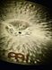 Тарелка Meinl Byzance Foundry Reserve B20FRLR Light Ride 20" 126073 фото 9