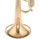Труба Bb Adams A4 Gold Brass 040 Selected SL 396250 фото 8