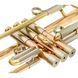 Труба Bb Adams A4 Gold Brass 040 Selected SL 396250 фото 6