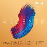 D'ADDARIO ASCENT&Eacute; VIOLIN SINGLE D STRING 4/4 Scale Medium Tension 35243 фото