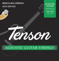 Струны для акустической гитары Tenson 80/20 Bronze, 10-47 G-F600600 фото