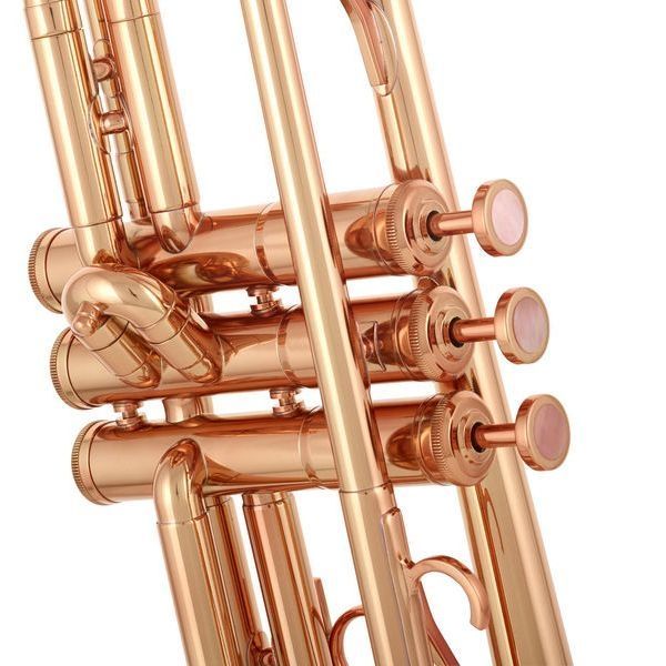 Труба Adams A9 Brass 050 Custom M CL (Bb) 329708 фото