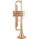 Труба Adams A9 Brass 050 Custom M CL (Bb) 329708 фото 1