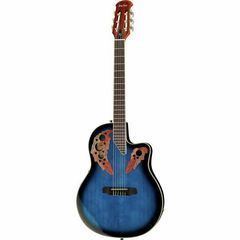 Acoustic / Western Guitars Roundback Acoustic Guitars photo