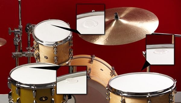VATER BUZZKILL 32298 фото