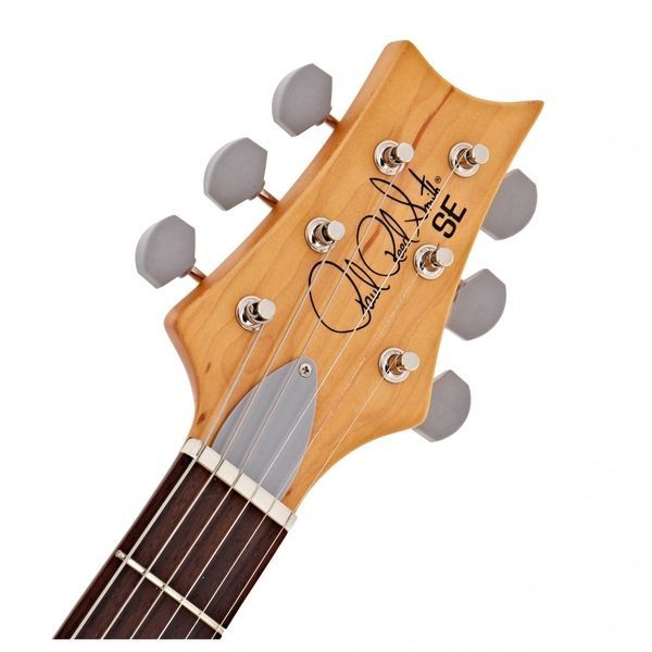 Электрогитара PRS SE Silver Sky (Ever Green) 39996 фото