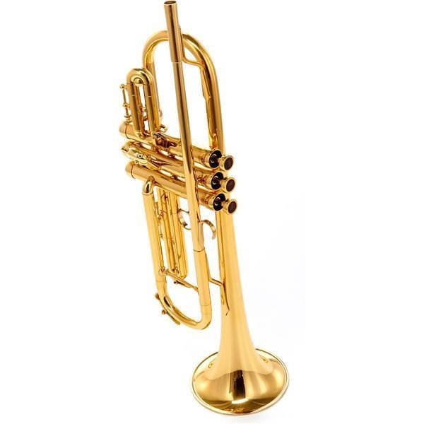 Труба Adams A6 Brass 045 Selected Lacquer (Bb) 336529 фото