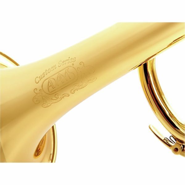 Труба Adams A6 Brass 045 Selected Lacquer (Bb) 336529 фото