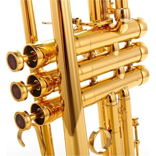 Труба Adams A6 Brass 045 Selected Lacquer (Bb) 336529 фото