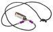 Набір губних гармошок Hohner Miniature Mini Necklace M38N-5C C-major (20 шт.) 127967 фото 1