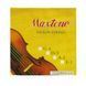 MAXTONE VN STRING 4/4 Violin String Set 27591 photo 1