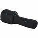 Электрогитара HARLEY BENTON Fusion-III HSH EB FBLB + комбоусилитель HB-40R 531175 фото 13