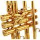 Труба Adams A6 Brass 045 Selected Lacquer (Bb) 336529 фото 6
