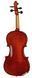 Скрипка STENTOR 1550/С CONSERVATOIRE VIOLIN OUTFIT 3/4 32027 фото 2