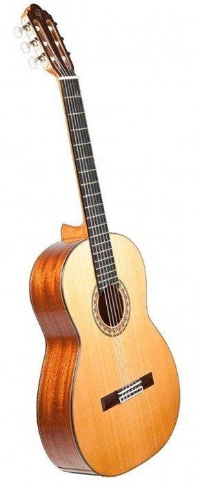 Prudencio Saez 012 Fishman Clasica 3 — загальний вигляд