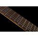 Електрогітара SCHECTER 70th Anniversary Demon 6 FR CHB 579892 фото 10
