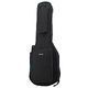 Электрогитара HARLEY BENTON Fusion-III HH HT EB BK + комбоусилитель HB-40R 556642 фото