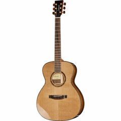 Acoustic / Western Guitars Premium Acoustic Guitars photo