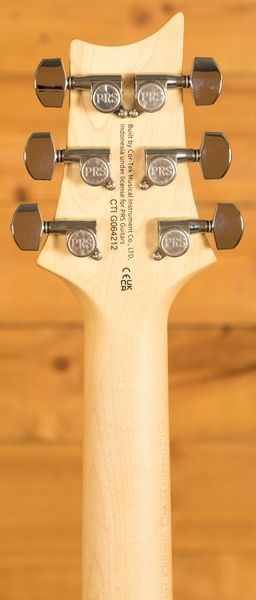 PRS SE Swamp Ash Special (Iri Blue) 42098 фото