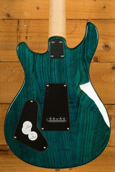 PRS SE Swamp Ash Special (Iri Blue) 42098 фото